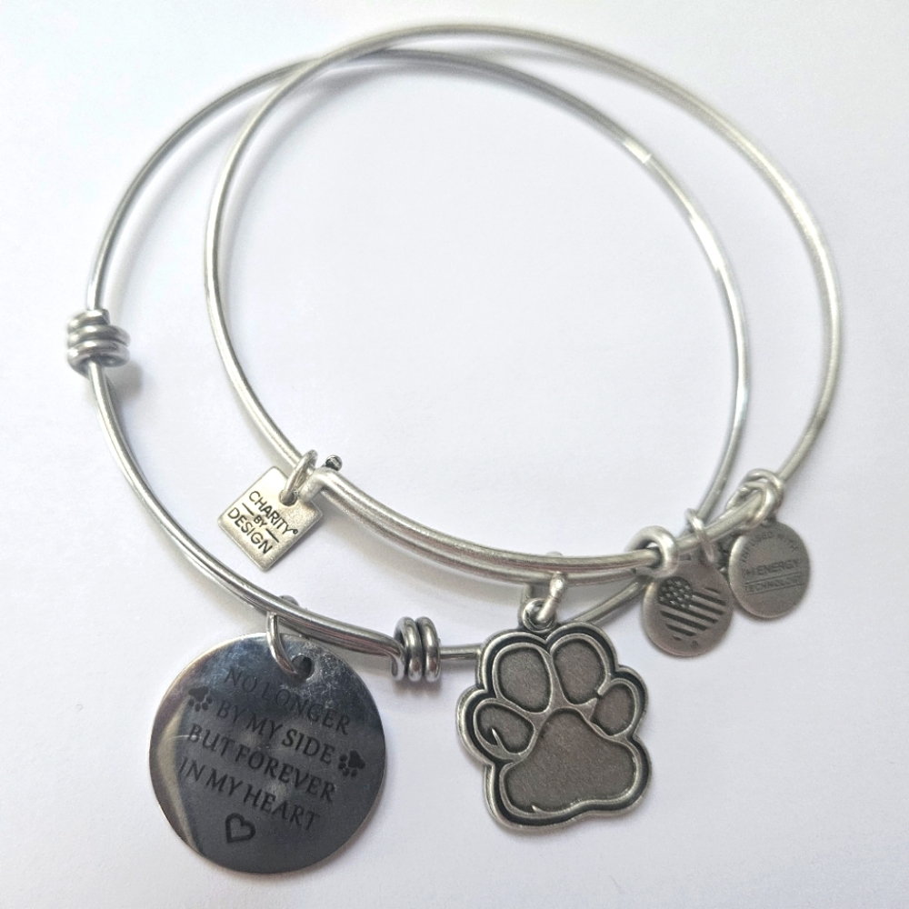2 - Alex + Ani Charm Bangles